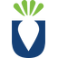 United Beet Seeds Denmark ApS