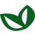 INTERNATIONAL WOODLAND COMPANY ApS