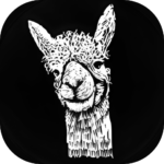 Alpacas of Fredly