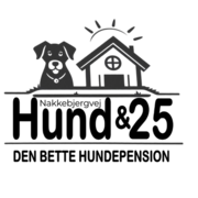Hund&25 - Den bette hundepension
