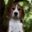 Kennel Free Stride's v/Anne Thygesen