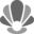 Holistic beauty lead