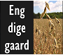 Engdigegaard ApS