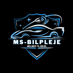 MS-Bilpleje