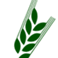 Henrik Bruun
