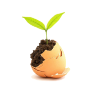 Organic Living