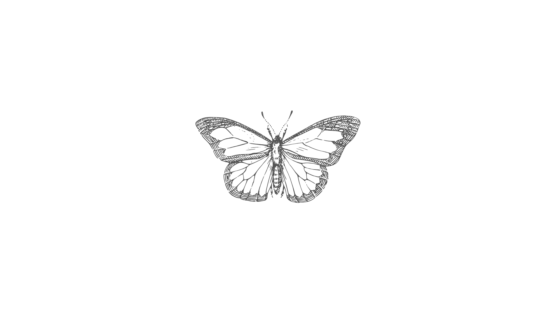 Tine Linnemann