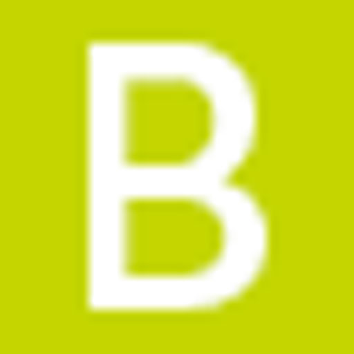BURO HAPPOLD ApS