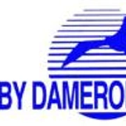 Lyngby Dameroklub