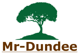 Mr-dundee