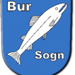Bur Aktivitetsforening