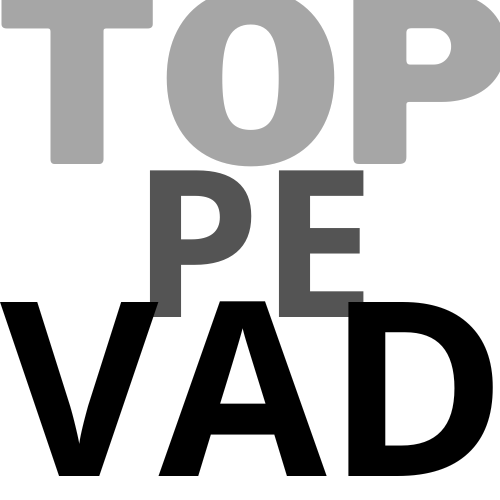 TOPPEVAD BILER ApS