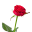 HF Rosen