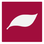 Pilu Consult