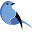 Tinybird Company
