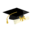 Fakultetet