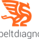 Dobbeltdiagnose I/S