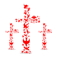 BUO-FYN
