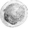 Samsø Røgeri ApS
