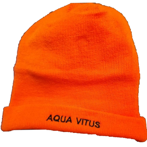 Vinterbadeklubben Aqua Vitus