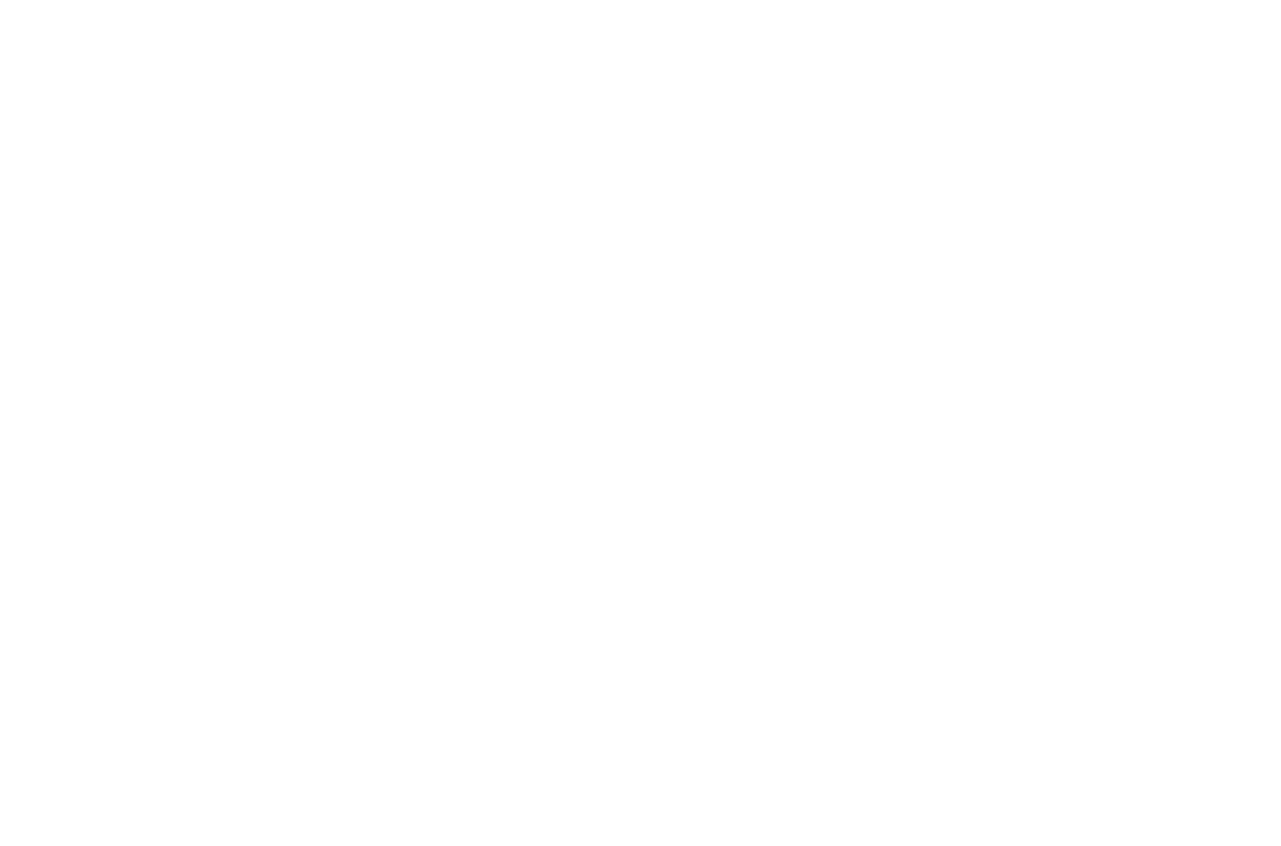LOOP PARTNERS PRINTING SOLUTIONS ApS