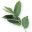 Blomsterværkstedet