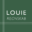 LOUIE regnskab