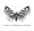 Camilla Boman Jensen, Illustration