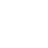 Seal Dragon