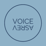 Voice Versa
