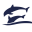 Dolphin Care ApS