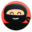WP-ninja