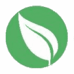 Green Cleaning ApS