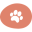 Potefokus