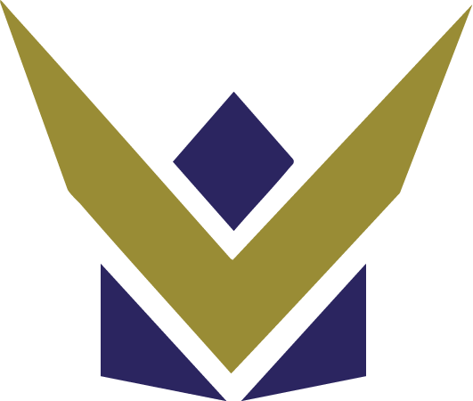 Vikings Cheerleaders