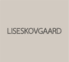 Lise Skovgaard