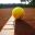 Hårlev Tennisklub