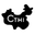 CTH International Aps