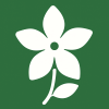 JasminDATA