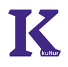 Foreningen Villa Kultur