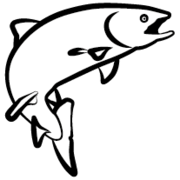 Salmo-Hunter ApS