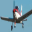 Flyveforeningen OY-BBW