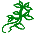 Virkeværk