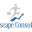 Infoscape Consulting