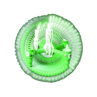 Slime Puppy Studio