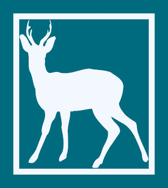 Whitedeer