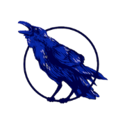Blue Raven ApS