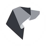 Foxhound Studios