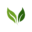 Aroma Ceylon