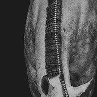 Louise Buch Photography
